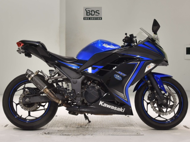Kawasaki NINJA250 2015