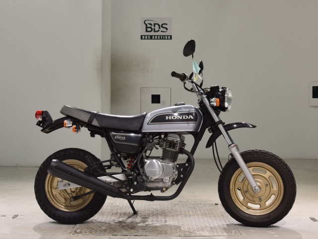 Honda APE100 2008