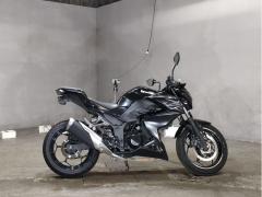 Kawasaki Z250 2016