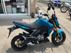 Kawasaki Z125 PRO 2021