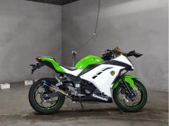 Kawasaki NINJA250 2014