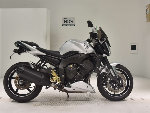 Yamaha FZ1-N 2011