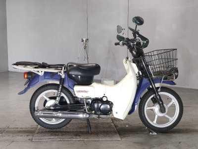 Suzuki BIRDIE50
