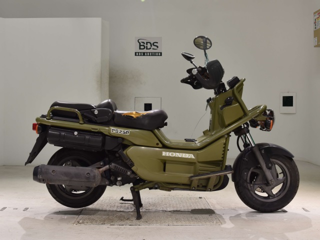 Honda PS250 BIG RUCKUS 2006