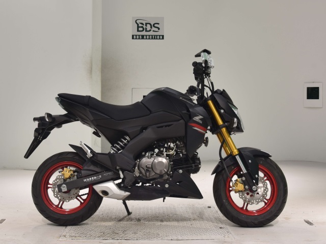 Kawasaki Z125 PRO 2021