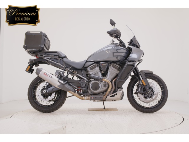 HD PAN AMERICA1250 S 2022