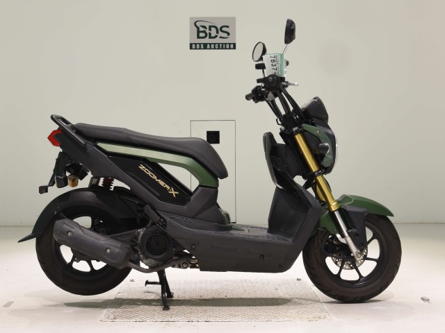 Honda ZOOMER-X 2013