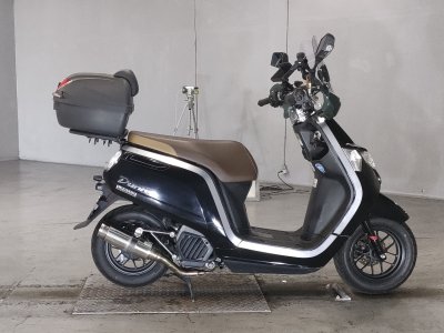 Honda DUNK 2019