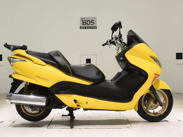 Honda FORZA Z 2007