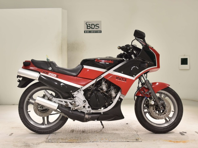 Kawasaki KR250S 1985