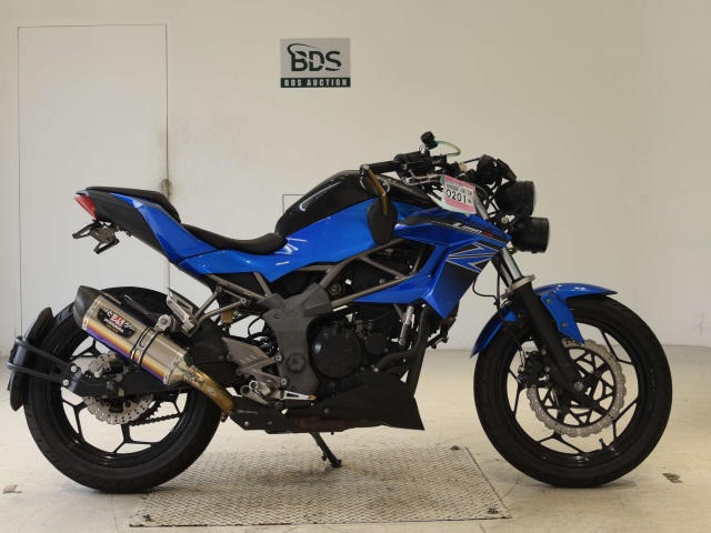 Kawasaki Z250SL 2016