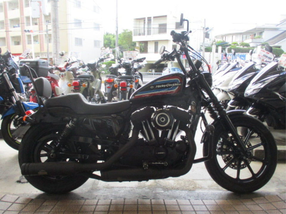 HD SPORTSTER XL1200N 2020
