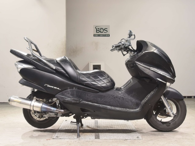 Honda FORZA Z 2006