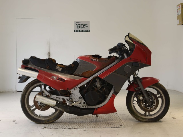 Kawasaki KR250