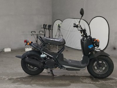 Honda ZOOMER 2009