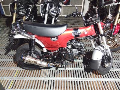 Honda DAX125 2022