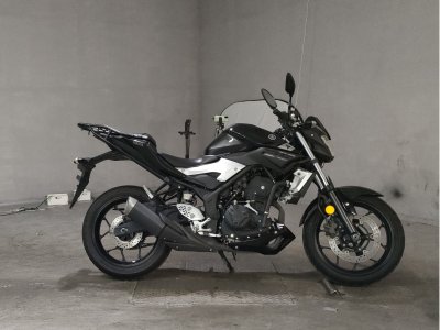 Yamaha MT-25 2016