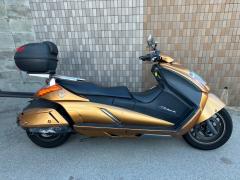 Suzuki GEMMA250 2008