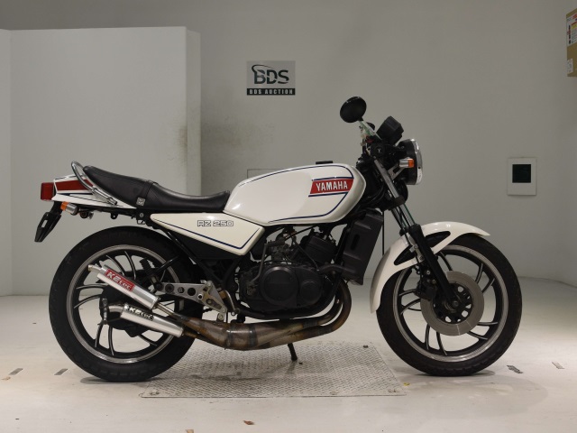 Yamaha RZ250