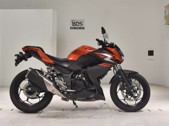 Kawasaki Z250 2014