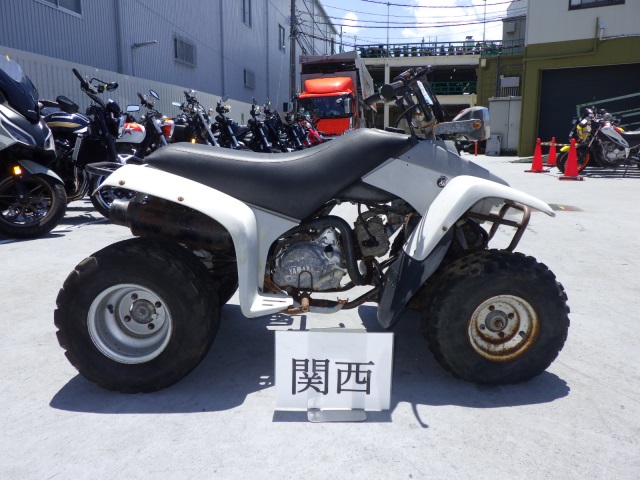 Yamaha YF100M