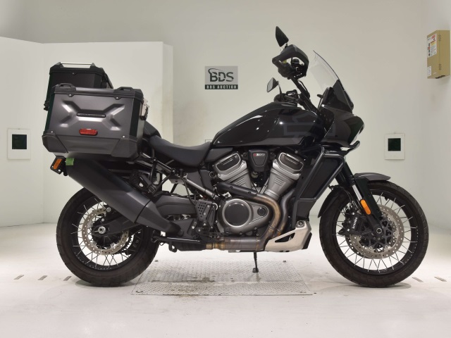 HD PAN AMERICA1250 S 2021