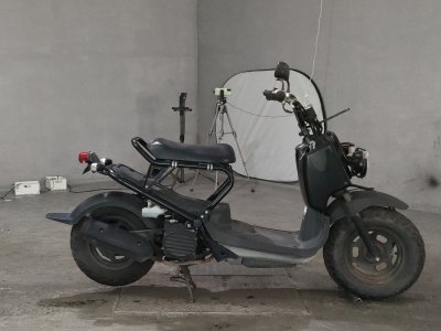 Honda ZOOMER 2006
