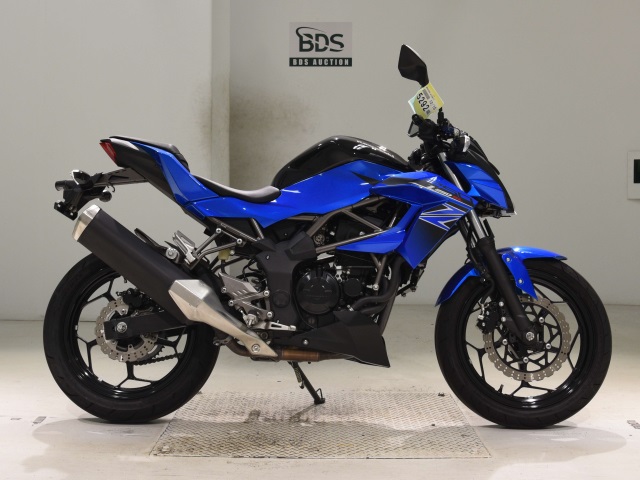 Kawasaki Z250SL 2016