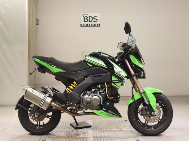 Kawasaki Z125 PRO 2016