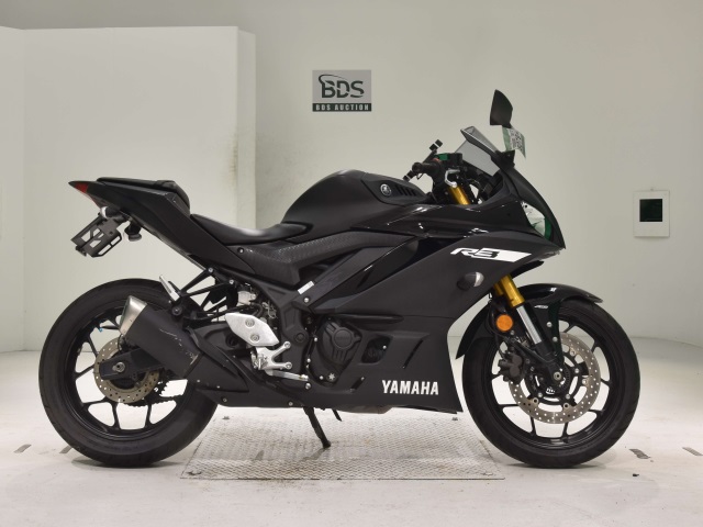 Yamaha YZF-R3 2019