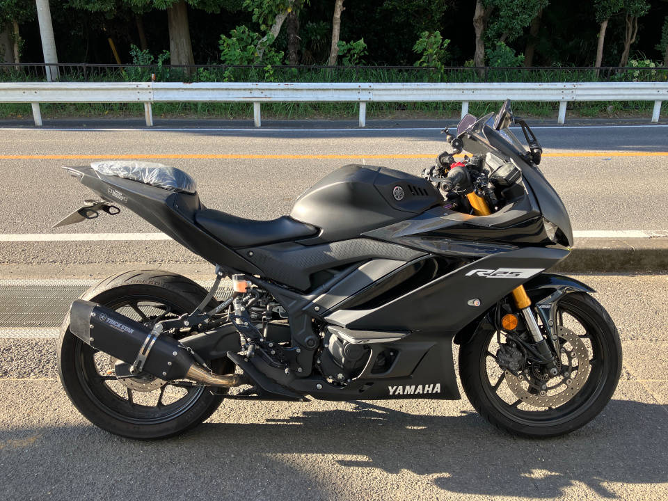 Yamaha YZF-R25A 2019