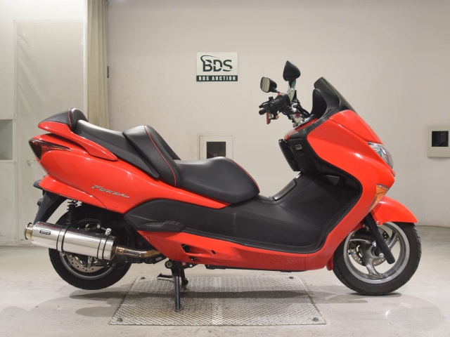 Honda FORZA Z 2005