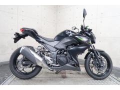 Kawasaki Z250 2013