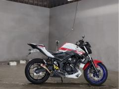 Yamaha MT-25 2017