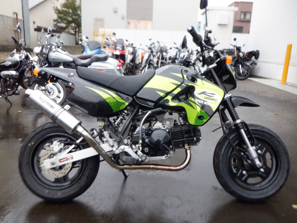 Kawasaki KSR110 2008