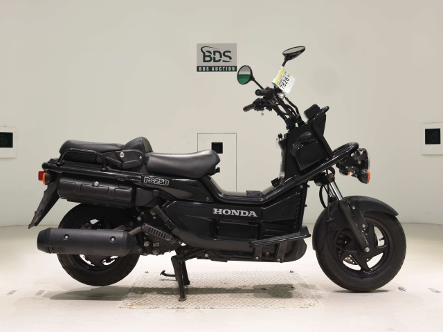 Honda PS250 BIG RUCKUS 2006