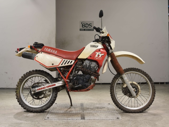 Yamaha TT250