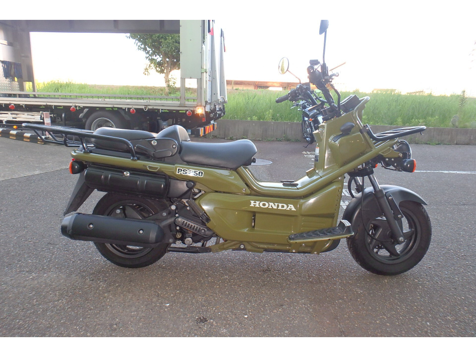Honda PS250 BIG RUCKUS 2006