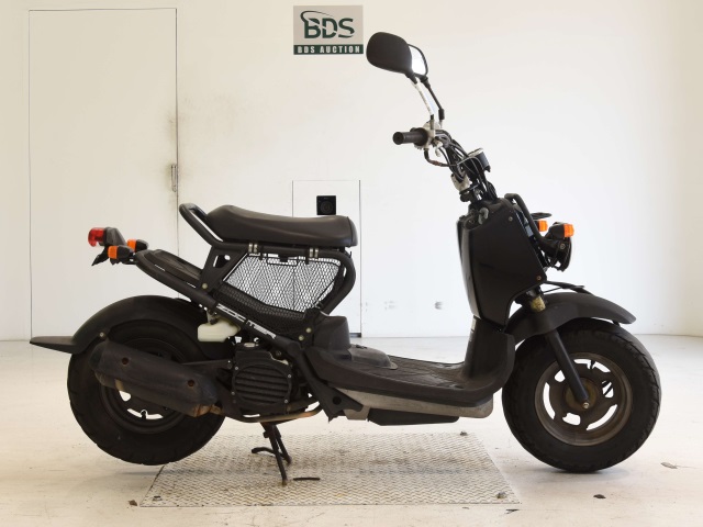 Honda ZOOMER 2009