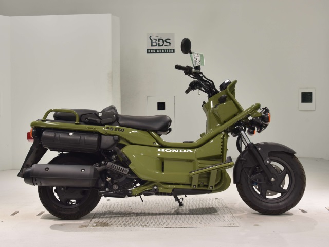 Honda PS250 BIG RUCKUS 2006