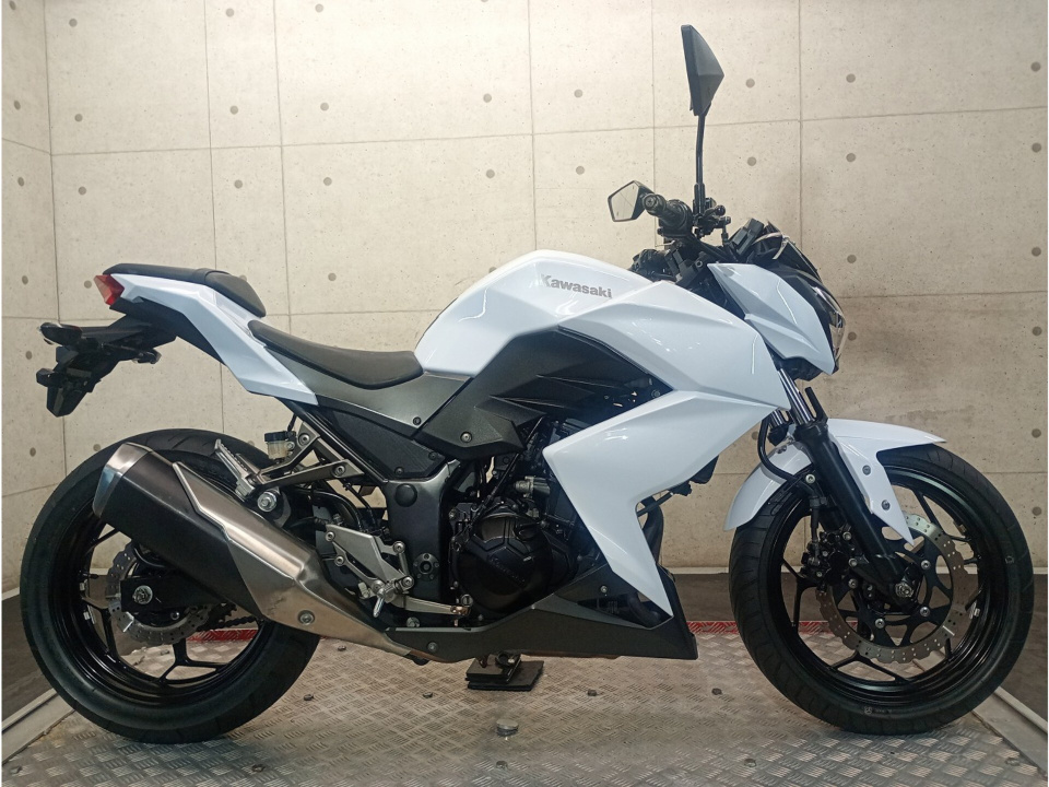 Kawasaki Z250 2013