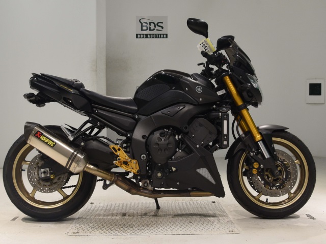 Yamaha FZ8-N 2016