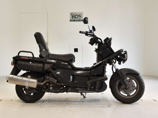 Honda PS250 BIG RUCKUS 2006