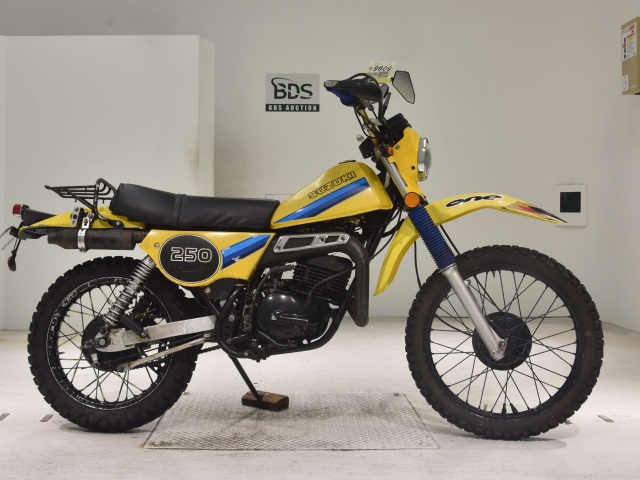 Suzuki TS250