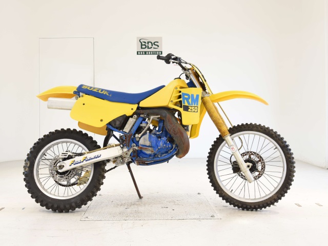 Suzuki RM250