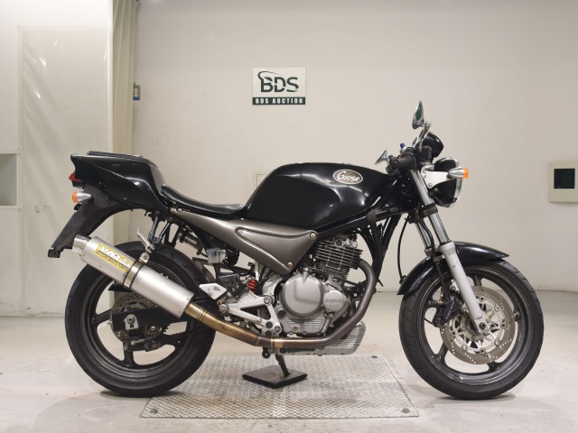 Suzuki GOOSE250