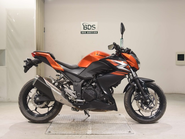 Kawasaki Z250 2014