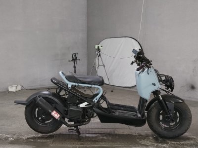 Honda ZOOMER 2004