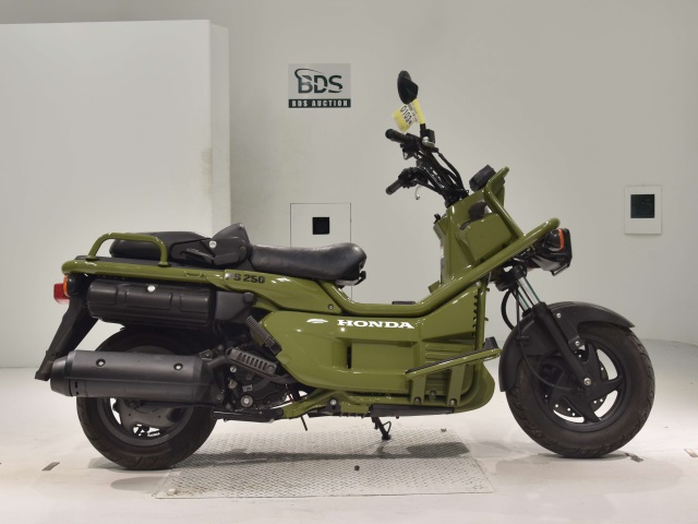 Honda PS250 BIG RUCKUS 2004
