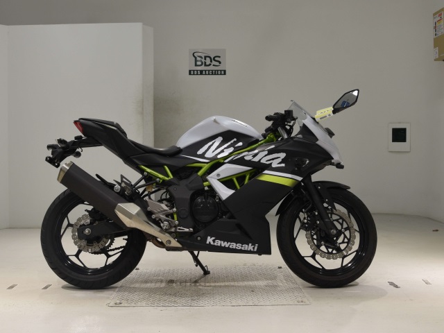 Kawasaki NINJA250 2020